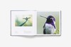 【现货】Bird Planet: A Photographic Journey | 鸟类星球：摄影之旅 自然景观摄影集 商品缩略图4
