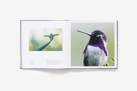 【现货】Bird Planet: A Photographic Journey | 鸟类星球：摄影之旅 自然景观摄影集 商品图4