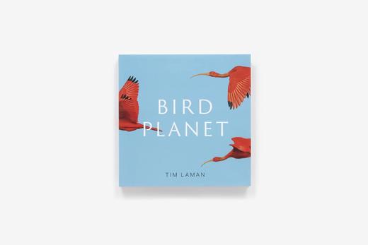 【现货】Bird Planet: A Photographic Journey | 鸟类星球：摄影之旅 自然景观摄影集 商品图3