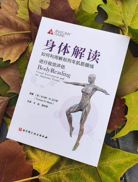 身体解读：如何利用解剖列车肌筋膜线进行视觉评估