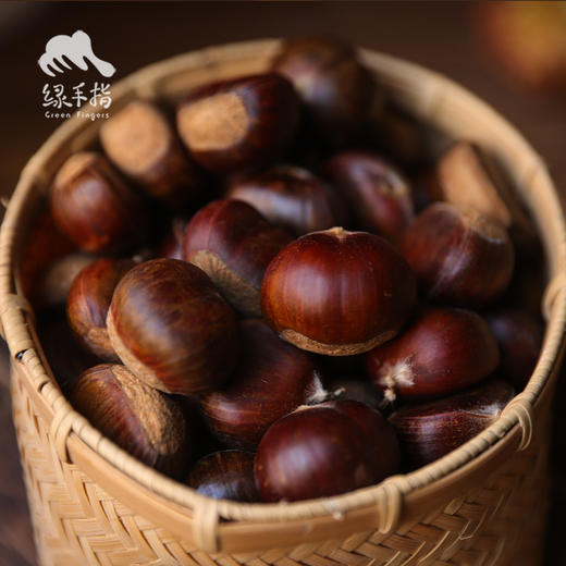 有机鲜板栗 | 合作生产*Organic Fresh chestnut | Coprodution 商品图3