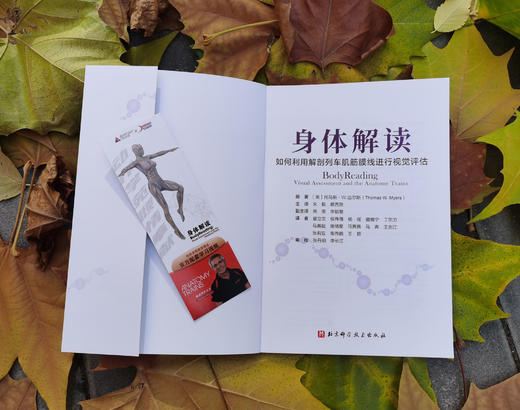 身体解读：如何利用解剖列车肌筋膜线进行视觉评估 商品图2