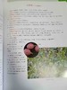 中华食疗本草 商品缩略图8
