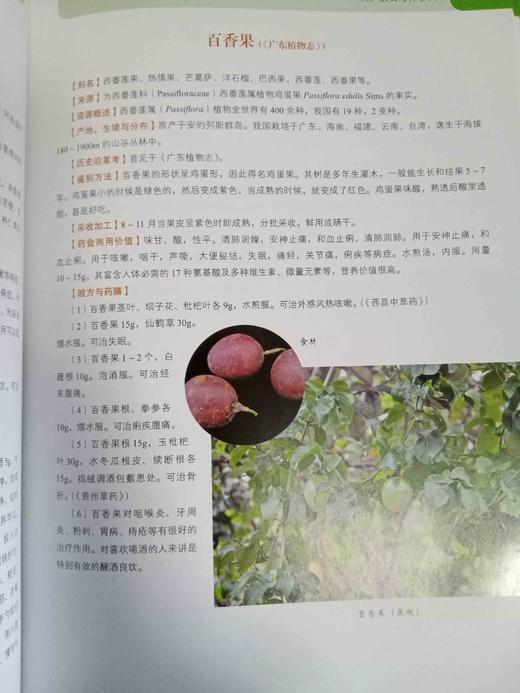 中华食疗本草 商品图8
