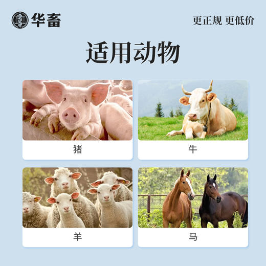 【社群专享】华畜 10ml:0.5g萘普生注射液10ml*10支 解热镇痛 关节炎 关节肿胀 蹄叶炎 商品图2