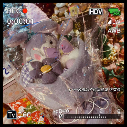 卡通玩偶花束（可快递） 商品图3