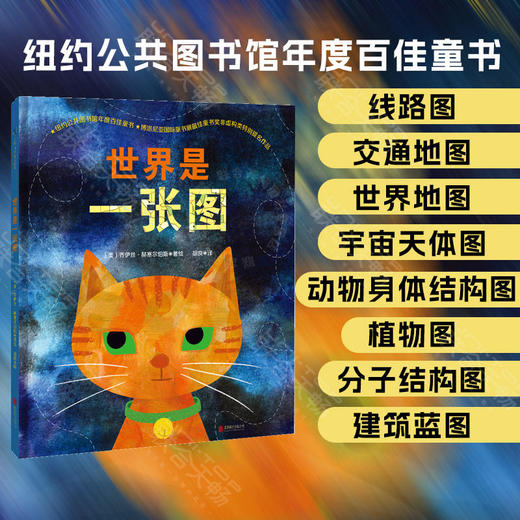 世界是一张图丨纽约公共图书馆年度百佳童书 博洛尼亚童书展最佳童书奖特别提名作品 商品图0