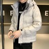 冬装羽绒服男士秋冬季潮流帅气休闲百搭冬天外套2022年新款男装DYL-718-YR22-8012 商品缩略图0