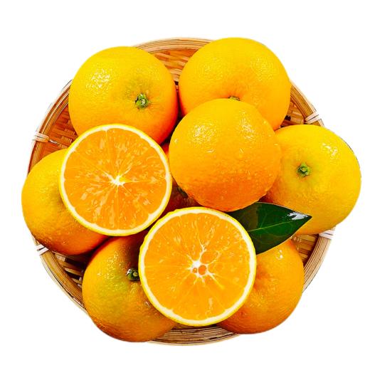 秭归脐橙10斤装左右（商） 商品图3