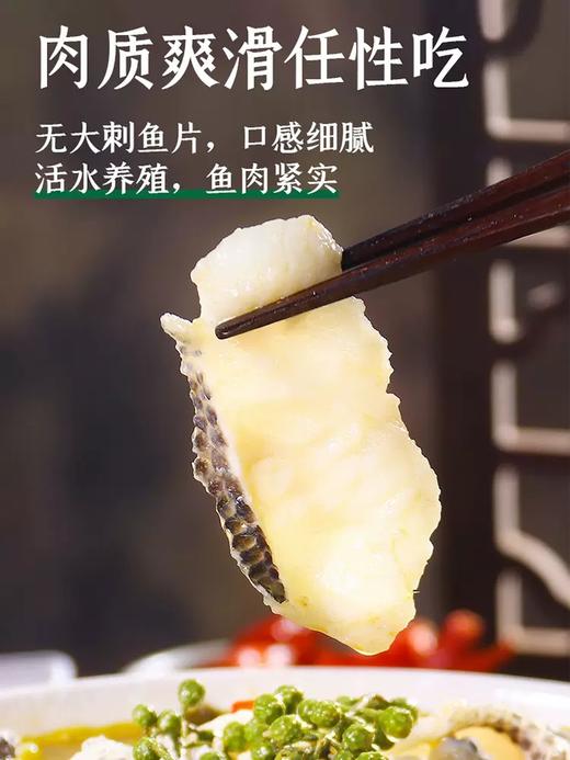 冻品先生酸菜鱼419g 商品图4