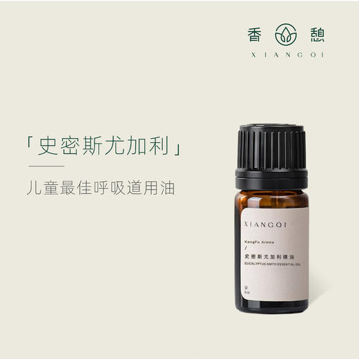 「课程·单方油」XIANGQI香憩︱史密斯尤加利精油 5ml/瓶 商品图0
