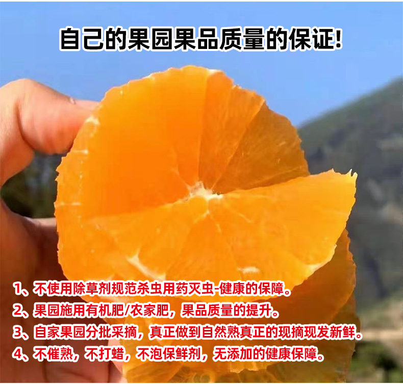 赣南脐橙详情21_04.jpg