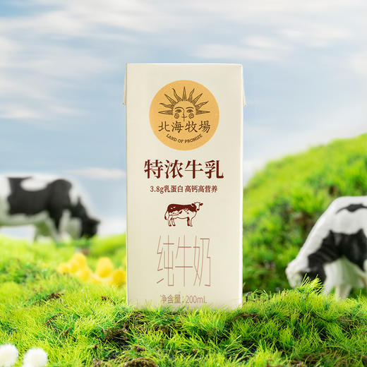 北海牧场特浓牛乳常温全脂牛奶200ml*12盒 商品图2