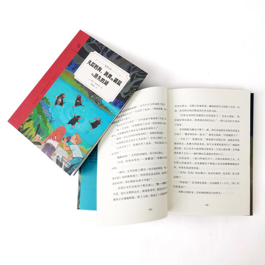 奇想国童书 失踪的狗、跳舞的鼹鼠与消失的湖9-12岁平装奇想文库冒险、穿越、友谊、人性之爱 商品图4