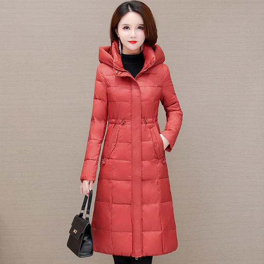 TZW-简约修身时尚保暖新款连帽休闲气质冬季QYM-KSY-28C05-L 商品图0