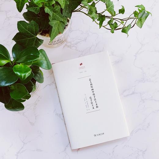 意大利绘画中的手法主义和反手法主义（何香凝美术馆·艺术史名著译丛） 商品图1