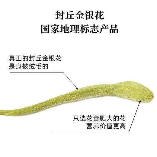 【每日食养】封丘金银花35g/瓶（买一送一） 商品图2
