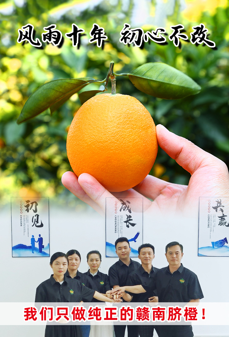 赣南脐橙详情21_01.jpg
