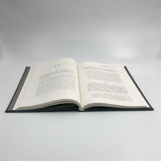 哲学科学全书纲要(1817年版) 商品图6