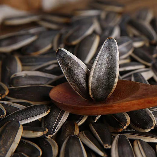 新疆塔城瓜子 单包500g 巨香巨好 商品图3