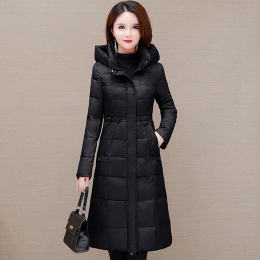 TZW-简约修身时尚保暖新款连帽休闲气质冬季QYM-KSY-28C05-L 商品图2