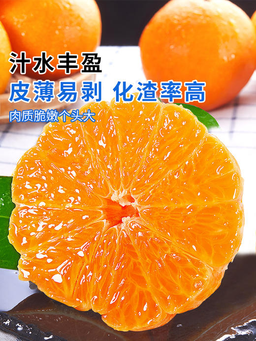 不知火丑橘新鲜水果当季丑八怪粑粑桔子柑橘子耙耙 mzt08 商品图1