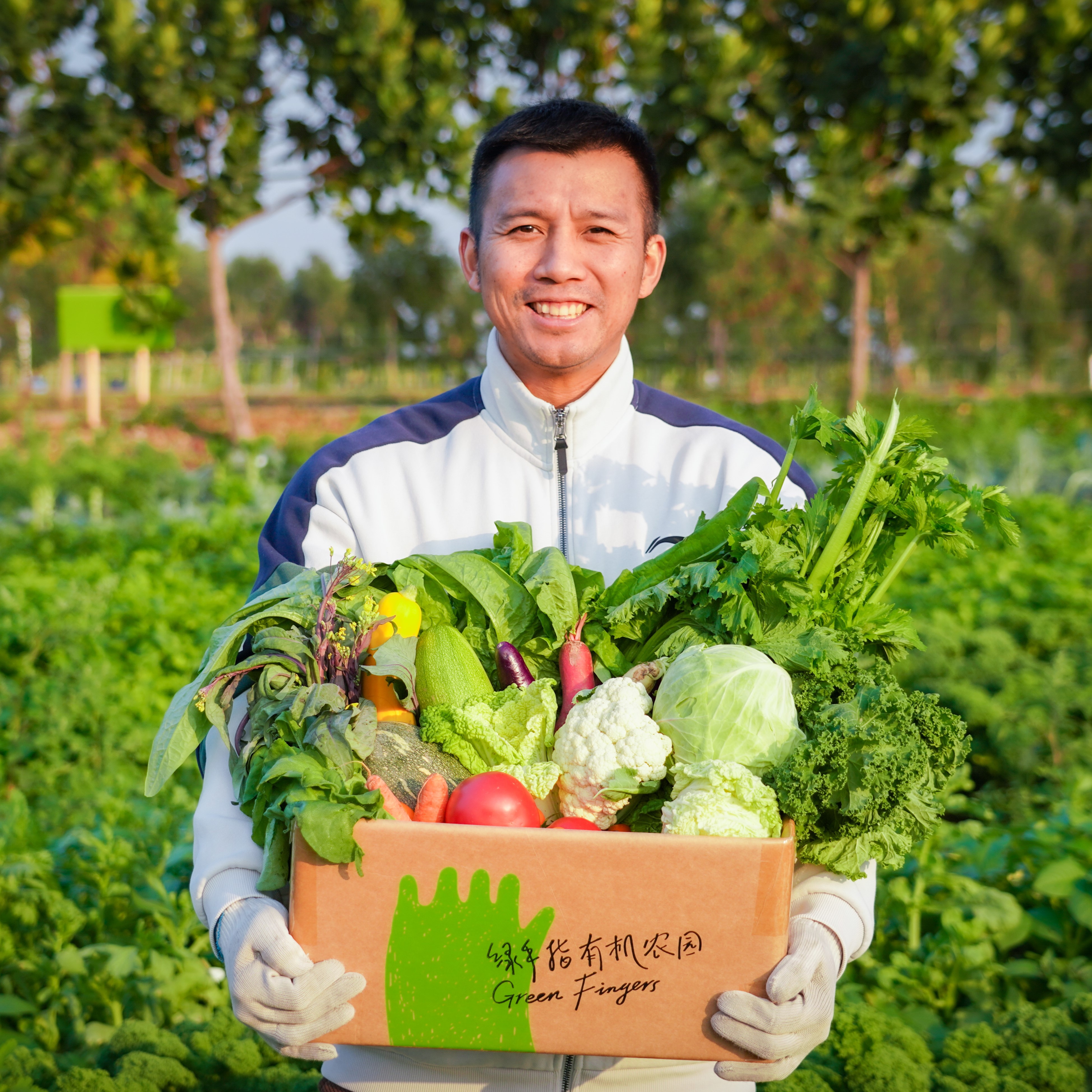 有机蔬菜年份额（客服打电话确认后发货）| 绿家自产 | Self-production