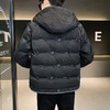 冬装羽绒服男士秋冬季潮流帅气休闲百搭冬天外套2022年新款男装DYL-718-YR22-8012 商品缩略图3