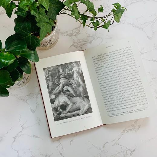 意大利绘画中的手法主义和反手法主义（何香凝美术馆·艺术史名著译丛） 商品图4