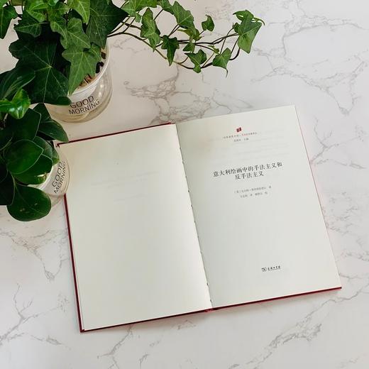 意大利绘画中的手法主义和反手法主义（何香凝美术馆·艺术史名著译丛） 商品图3