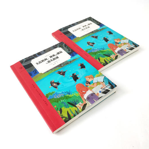 奇想国童书 失踪的狗、跳舞的鼹鼠与消失的湖9-12岁平装奇想文库冒险、穿越、友谊、人性之爱 商品图2