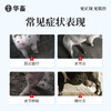 【社群专享】华畜 10ml:0.5g萘普生注射液10ml*10支 解热镇痛 关节炎 关节肿胀 蹄叶炎 商品缩略图1