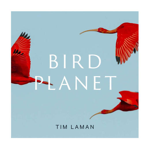 【现货】Bird Planet: A Photographic Journey | 鸟类星球：摄影之旅 自然景观摄影集 商品图0