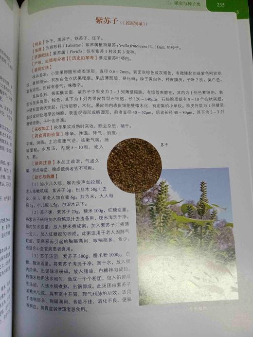 中华食疗本草 商品图9