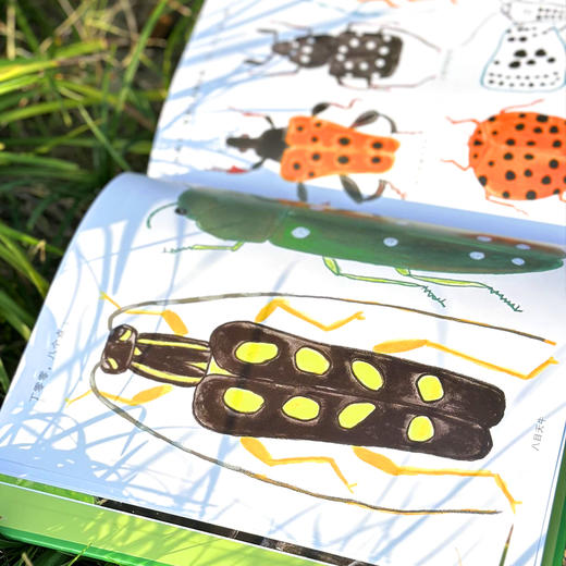 点点虫 商品图3