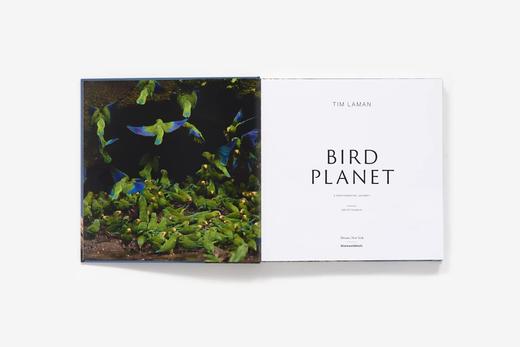 【现货】Bird Planet: A Photographic Journey | 鸟类星球：摄影之旅 自然景观摄影集 商品图5