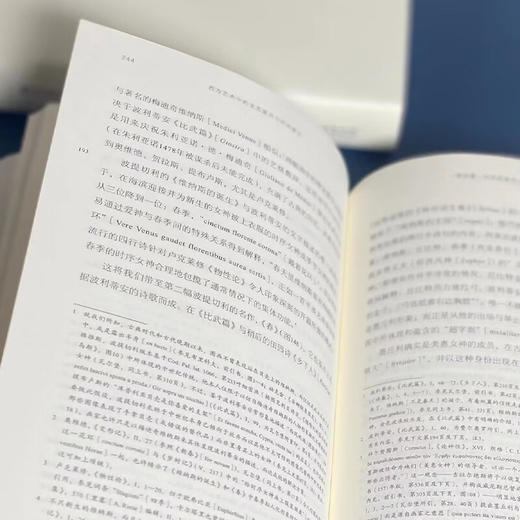 西方艺术中的文艺复兴与历次复兴（何香凝美术馆•艺术史名著译丛） [美]欧文•潘诺夫斯基 著 杨贤宗 译 商务印书馆 商品图5