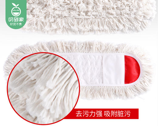 【预售-12月29日配送】伊司达地板护士擦具ES2521/1件 商品图2