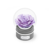 【音乐圆罩】ROSEONLY诺誓 永生玫瑰-音乐系列 悦慕马 十二星座音乐球玫瑰公仔 甜心兔熊猫公仔音乐球礼盒 送女友节日礼物 商品缩略图5