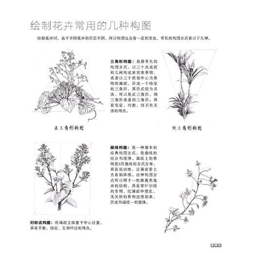 繁花绘/超精致的黑白手绘基础教程 商品图3