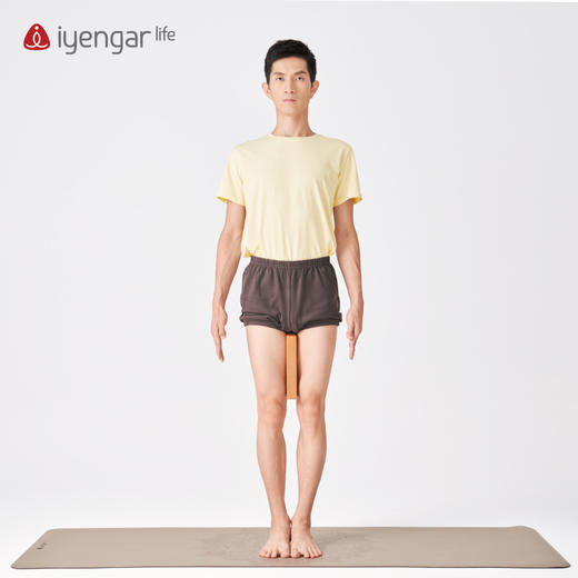 艾扬格 瑜伽薄砖 商品图4