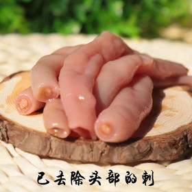 厚皮海肠   处理好的  纯肉肉