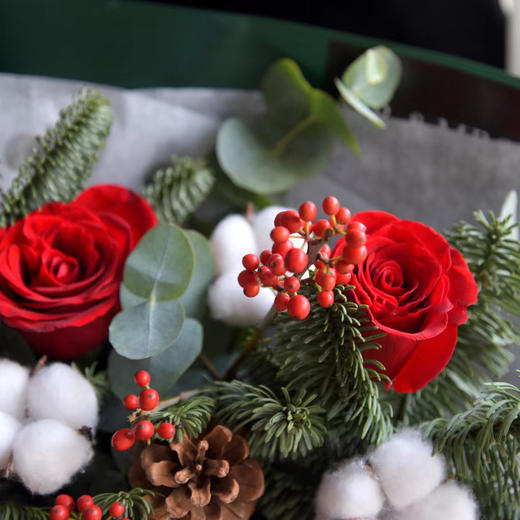 圣诞快乐 商品图3