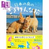 【中商原版】日本の島のごきげんな猫 进口艺术 日本岛上的猫猫 日文原版 商品缩略图0
