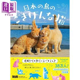 【中商原版】日本の島のごきげんな猫 进口艺术 日本岛上的猫猫 日文原版