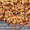 罗山农家铁锅炒熟花生原味 商品缩略图2