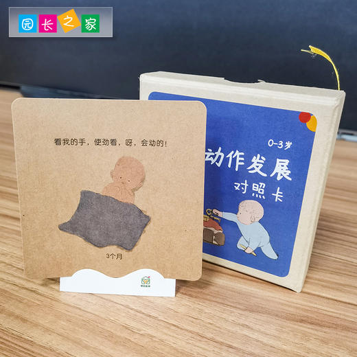 幼儿园婴幼儿 0-3岁语言动作发展对照卡 22张 商品图3