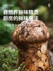 松鲜鲜松茸一品鲜580G 商品缩略图3