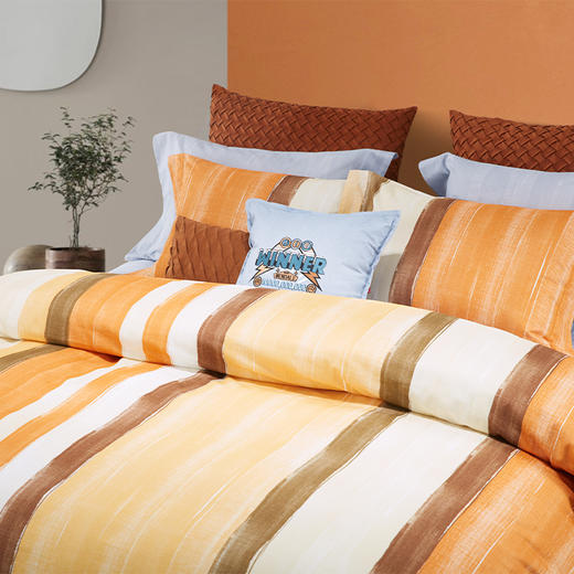 梦洁  纯棉磨毛四件套 班德尔 商品图1