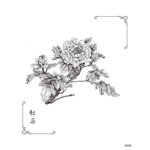 繁花绘/超精致的黑白手绘基础教程 商品图2